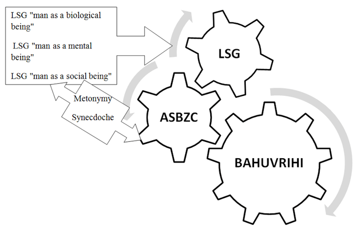 Figure 1. Schematic representation of semantic processes in the antroposemic substantival bahuvrihi with zoonym component. Qualitative data (Own processing).